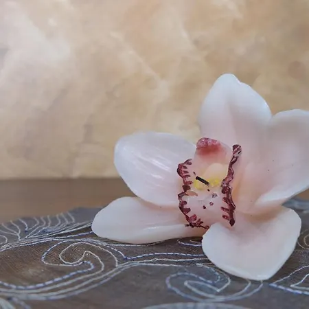 Il Sospiro فندق مبيت وإفطار Spinoso