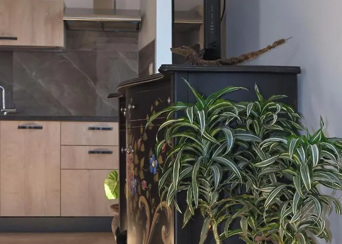 Bed & Breakfast Il Sospiro *