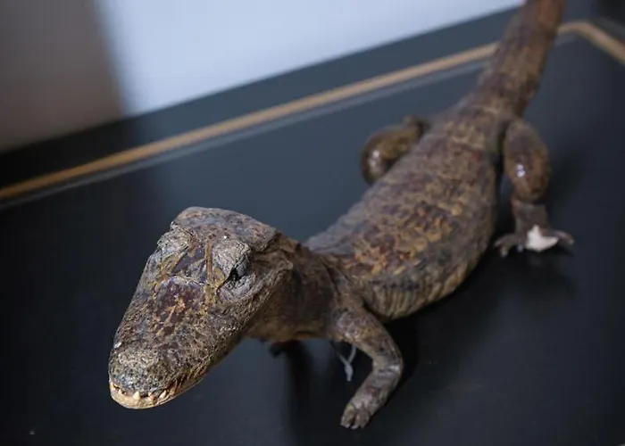 Il Sospiro * Spinoso